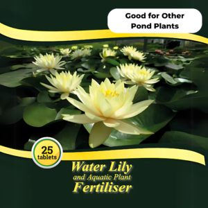 Lily fertiliser front of packet showing there are 25 tablets in a pack