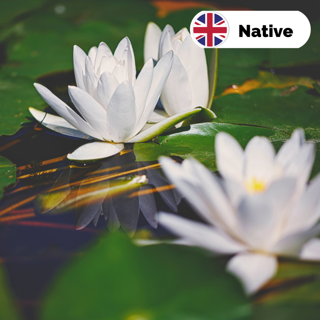 Pond Plants