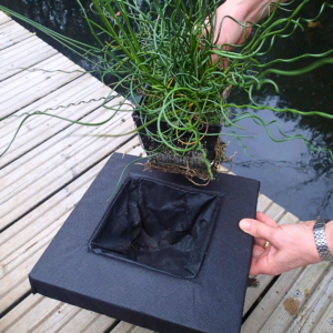 Floating basket Square 25cm with no plant in