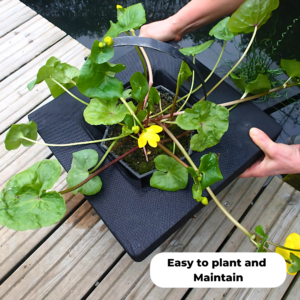 FLOS35 Floating basket Square 35cm is easy to plant and maintain
